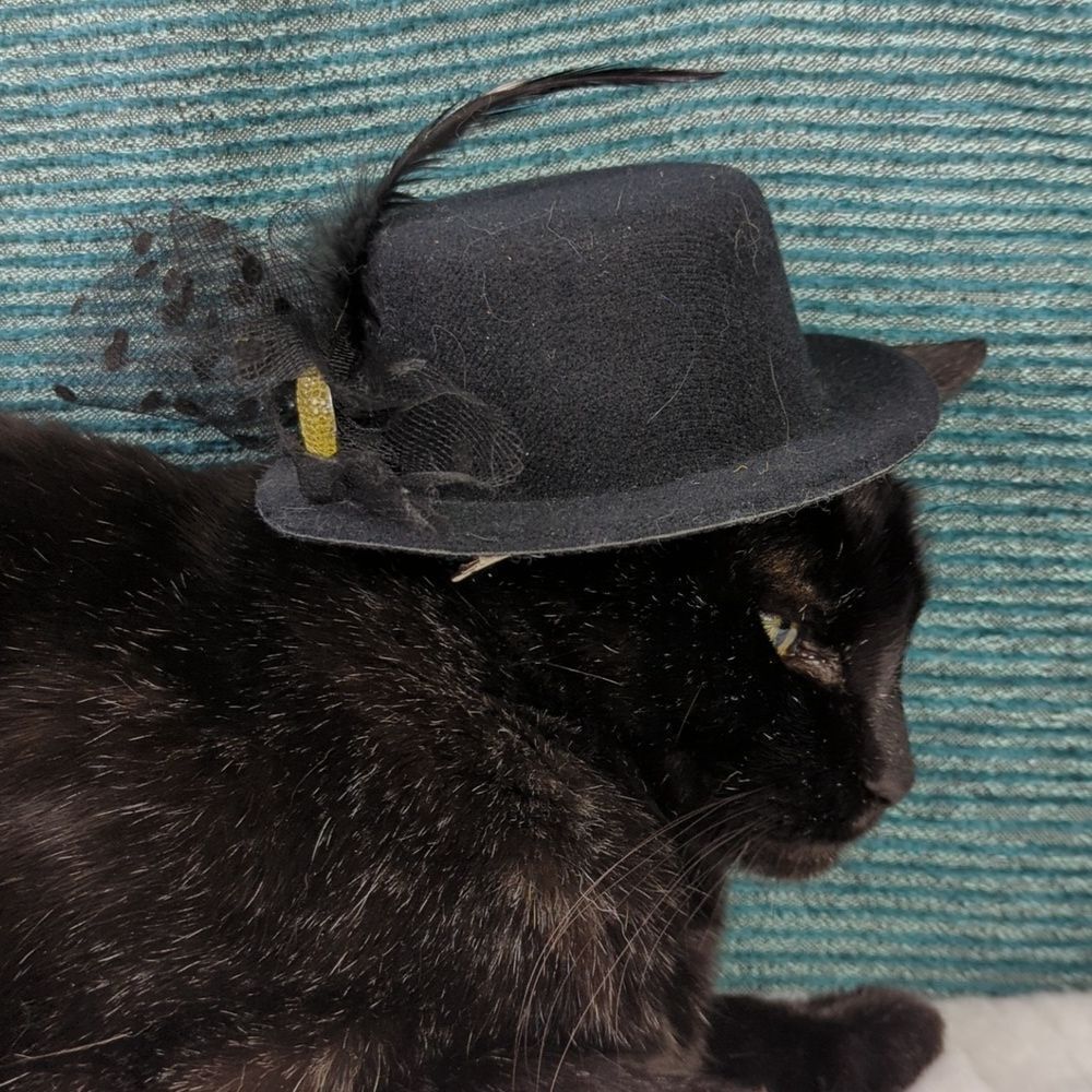 Costume Hat For Pets - Picture 2 of 12